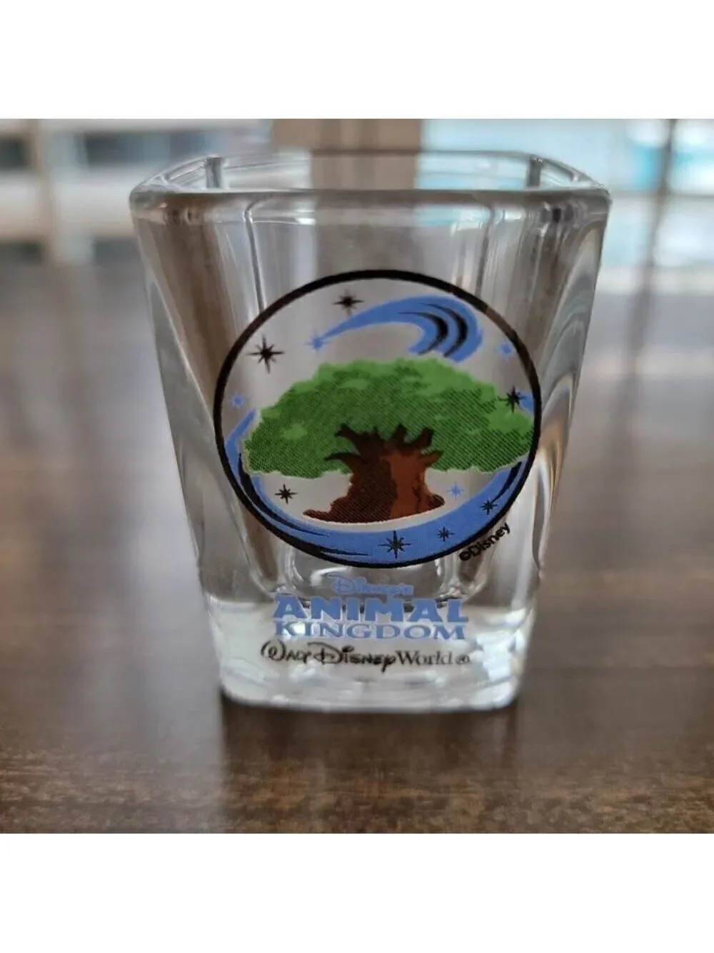 Walt Disney World Collectible Square Shot Glasses